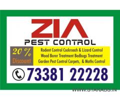 Pest Control Blr | Cockroach  and  Bed Bug Service | only1200/-  Only | 1973